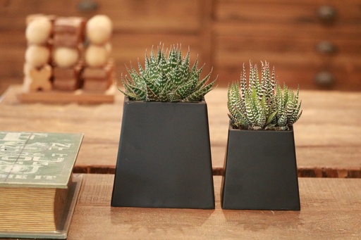 [MTL-0002] פירמידה פחם m