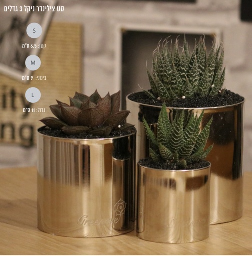 [MTL-0008]  צלינדר s ניקל 