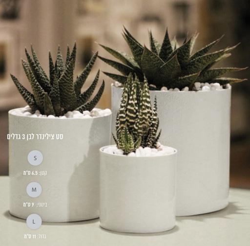 [MTL-0009] צילינדר m לבן 