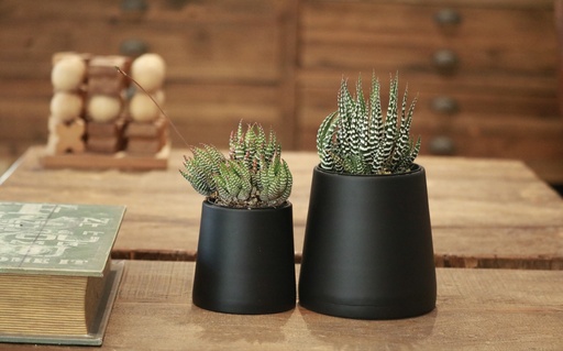 [MTL-0014] חרוט פחם m 