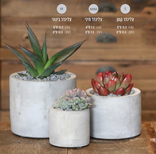 [CEM-0005]  צילינדר S 