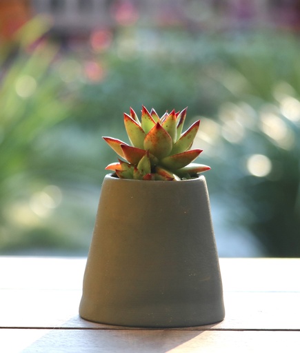 [TER-0002] חרוט טרקוטה