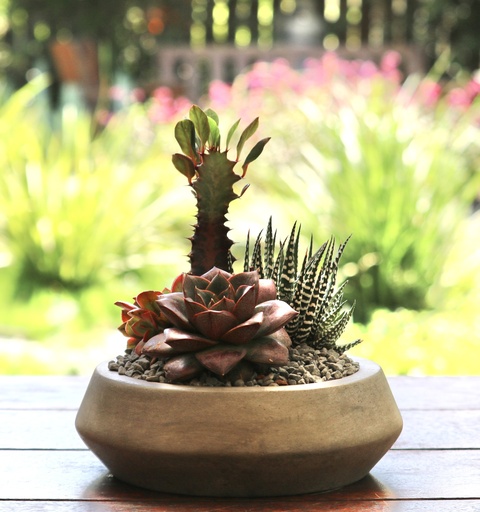 [CEM-0010] קערת בטון