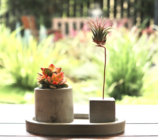 [CEM-0011] מגש אובלי 12*17 ס״מ - בטון