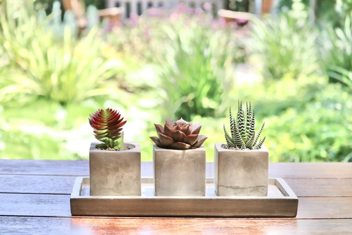 [CEM-0012] מגש מלבן 12*30 ס״מ - בטון